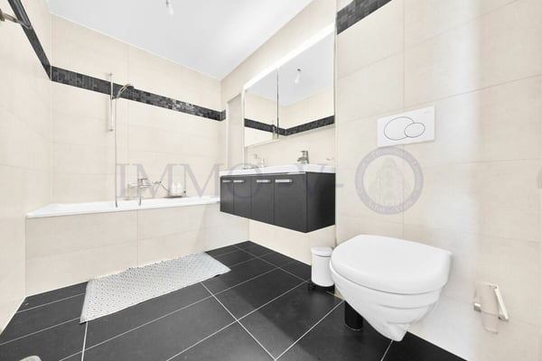 SPACIEUX DUPLEX AVEC TERRASSE ET BALCON 6