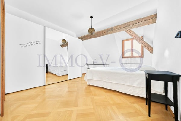 SPACIEUX AVEC CACHET ET EMPLACEMENT IDEAL - MEUBLE 6