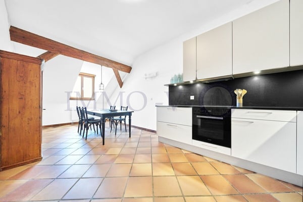 SPACIEUX AVEC CACHET ET EMPLACEMENT IDEAL - MEUBLE 3