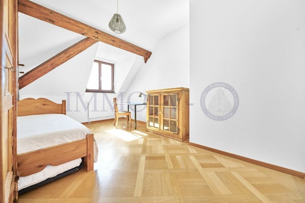 SPACIEUX AVEC CACHET ET EMPLACEMENT IDEAL - MEUBLE 5