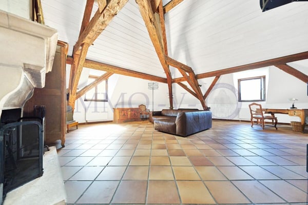 SPACIEUX AVEC CACHET ET EMPLACEMENT IDEAL - MEUBLE 2