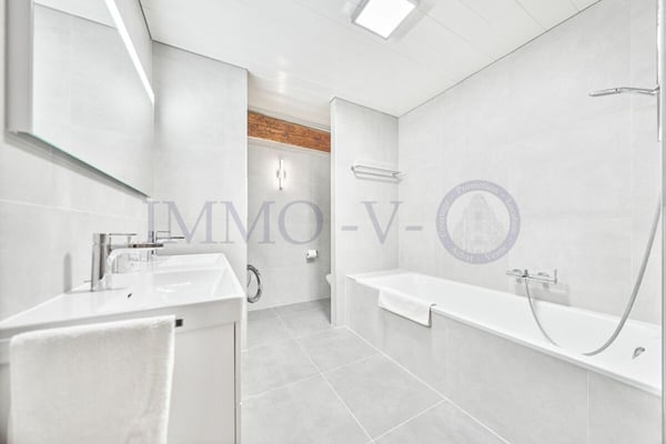 SPACIEUX AVEC CACHET ET EMPLACEMENT IDEAL - MEUBLE 7