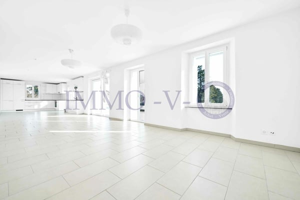SPACIEUX ET LUMINEUX AVEC GRAND BALCON-TERRASSE DE 60M2 ET VUE LAC 4