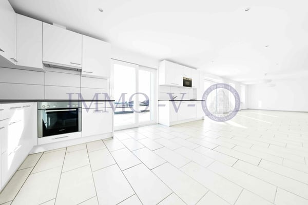 SPACIEUX ET LUMINEUX AVEC GRAND BALCON-TERRASSE DE 60M2 ET VUE LAC 5