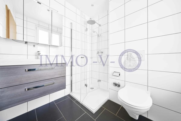 SPACIEUX ET LUMINEUX AVEC GRAND BALCON-TERRASSE DE 60M2 ET VUE LAC 7