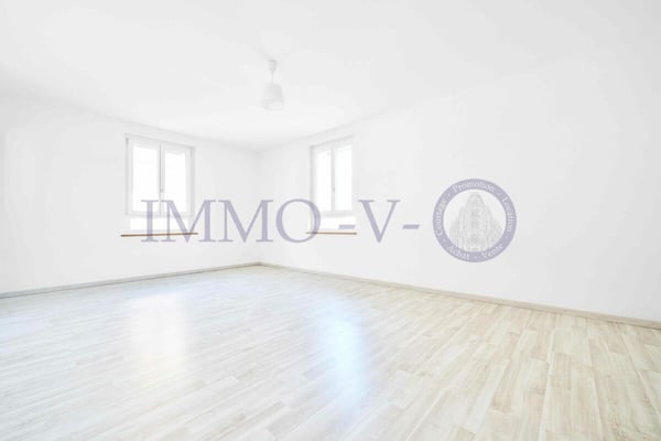 SPACIEUX ET LUMINEUX AVEC GRAND BALCON-TERRASSE DE 60M2 ET VUE LAC 9