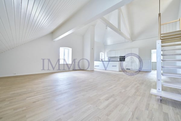 DUPLEX DE STANDING AVEC BEAU VOLUME