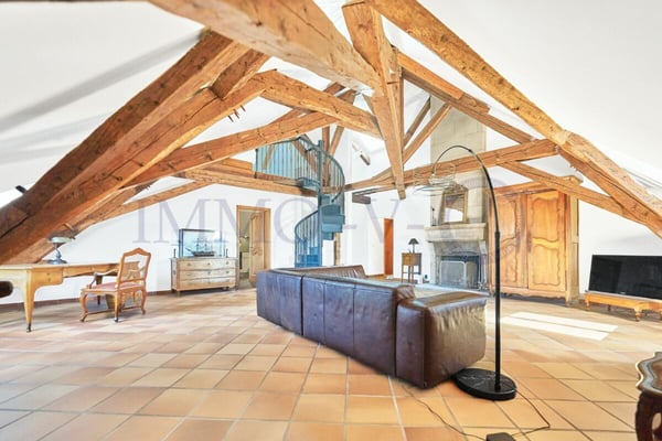 SPACIEUX AVEC CACHET ET EMPLACEMENT IDEAL - MEUBLE 1