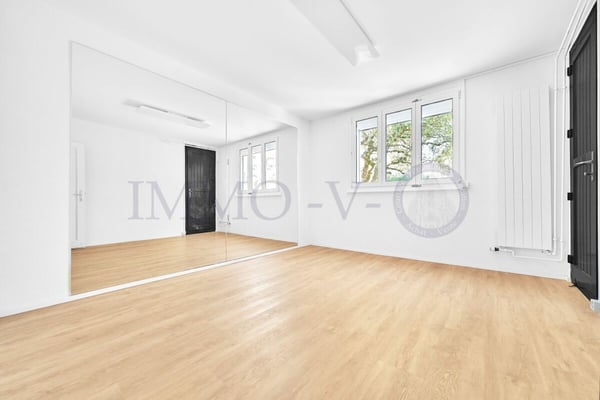 INDIVIDUELLE AVEC GRAND JARDIN ET SITUATION IDEALE 12