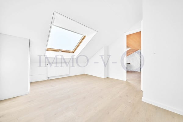 SPACIEUX DUPLEX EN ATTIQUE DE HAUT STANDING AU CENTRE 11