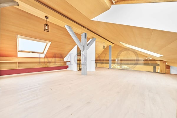 SPACIEUX DUPLEX EN ATTIQUE DE HAUT STANDING AU CENTRE 10