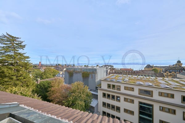 SPACIEUX DUPLEX EN ATTIQUE DE HAUT STANDING AU CENTRE 6