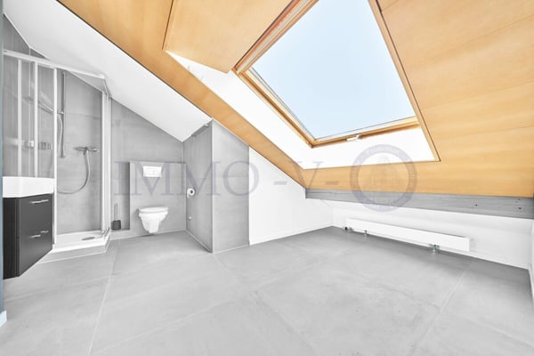 SPACIEUX DUPLEX EN ATTIQUE DE HAUT STANDING AU CENTRE 12