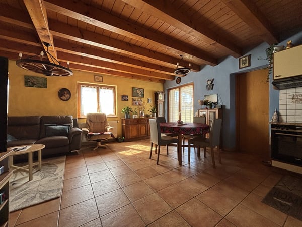 Rare : 2 maisons avec solaire + pompe à chaleur · piscine · 5 min Yverdon 14