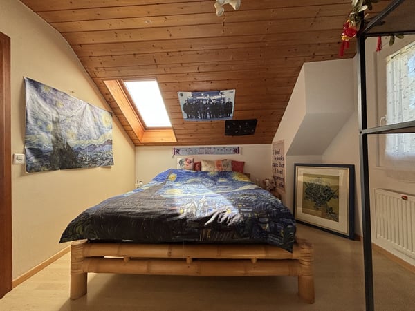 Rare : 2 maisons avec solaire + pompe à chaleur · piscine · 5 min Yverdon 11