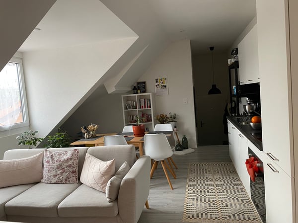 Appartement 1.5 pièces neuf 6