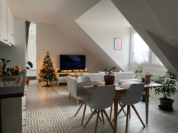 Appartement 1.5 pièces neuf 2