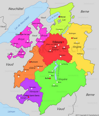 Plaffeien superbe terrain avec projet 2 villas contiguë Gurlistrasse 1