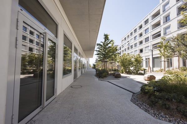 Espace commercial avec vitrine 7