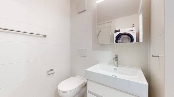 Frisch renovierte 2-Zimmerwohnung zu vermieten 4