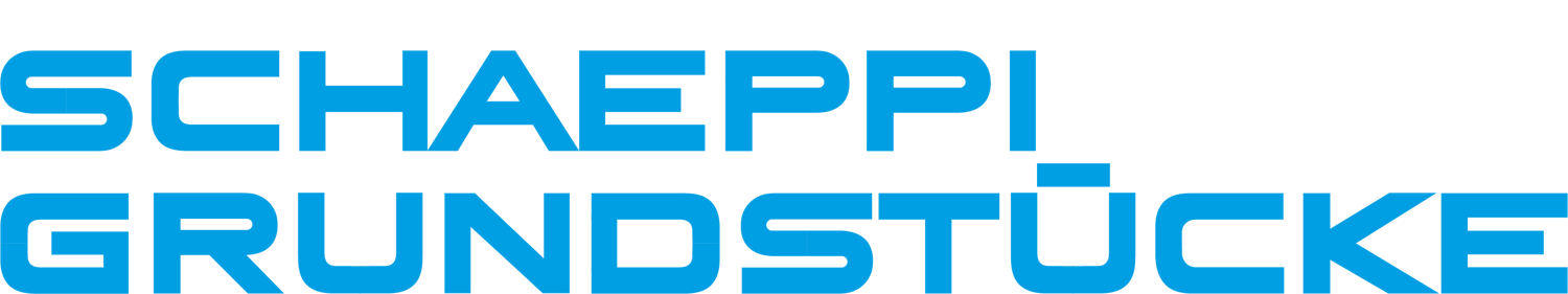 Schaeppi Grundstücke AG