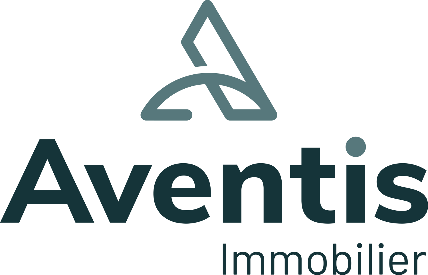 Aventis Immobilier SA