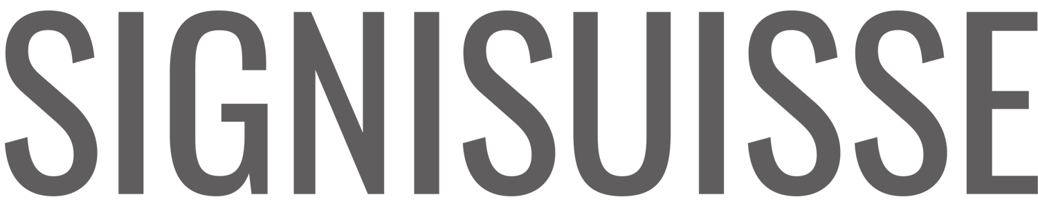 Signisuisse AG