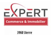 Alfonzo Carlo Expert Commerce & Immobilier